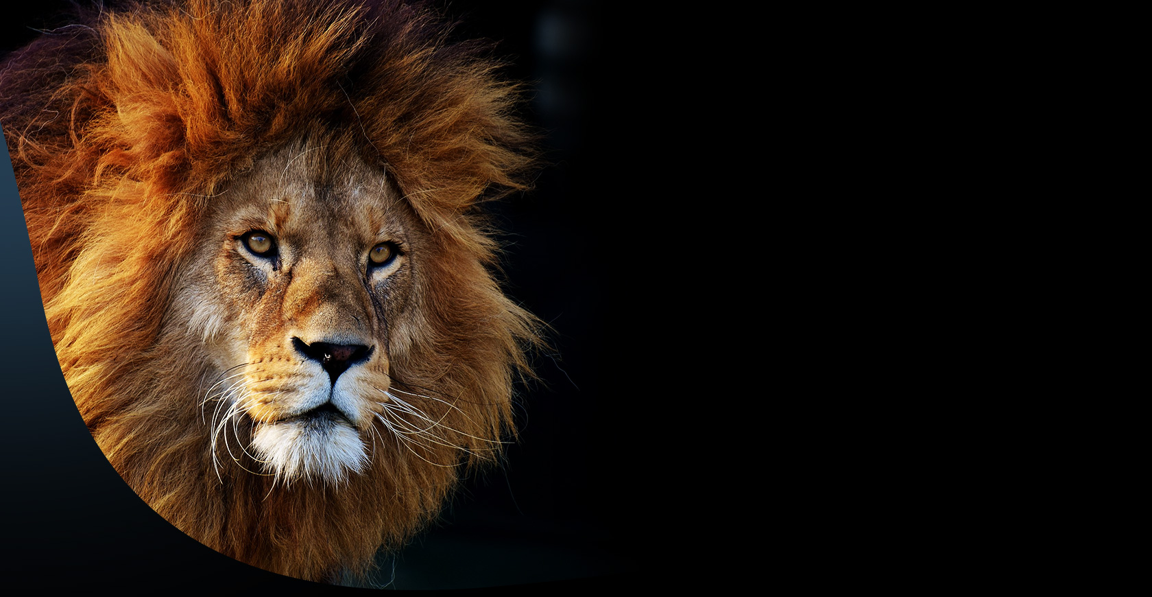 Wildlife Safari Uganda