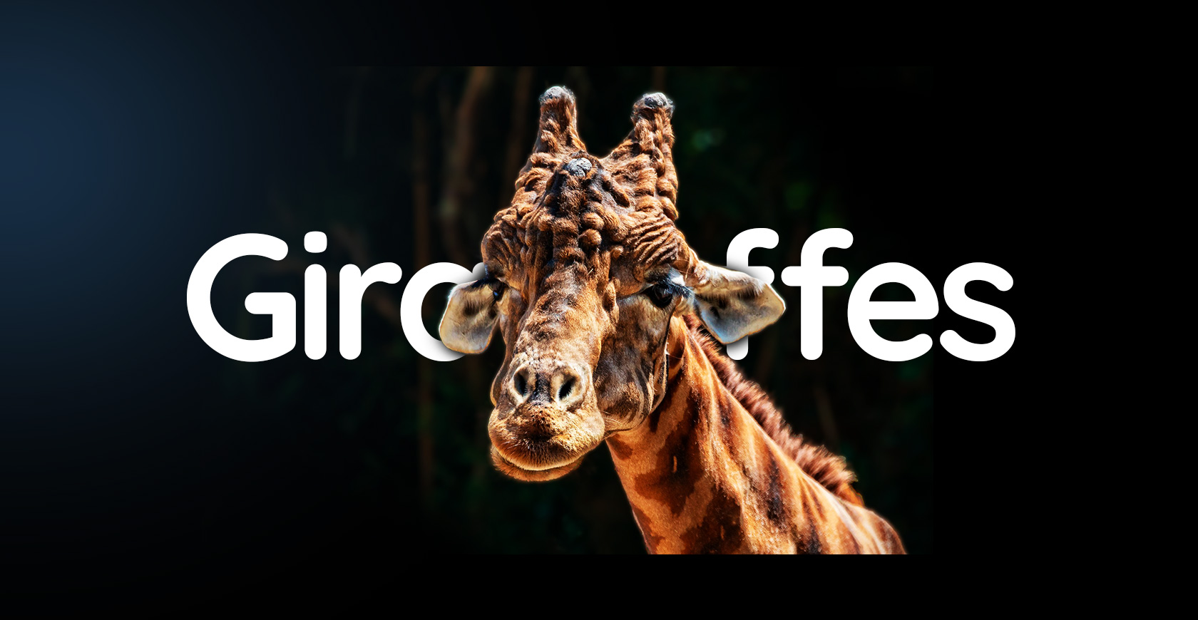 Murchison Falls Uganda